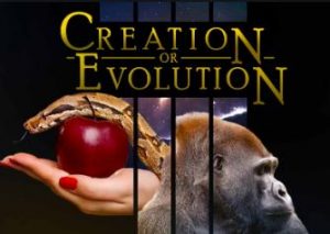Creation Evolution